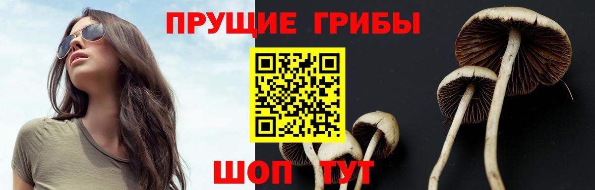 Джанкой  где купить наркотик  Псилоцибиновые грибы Psilocybine cubensis  Вход с VPN  Псилоцибиновые грибы MAGIC MUSHROOMS 